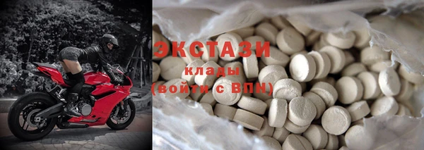 стаф Алзамай