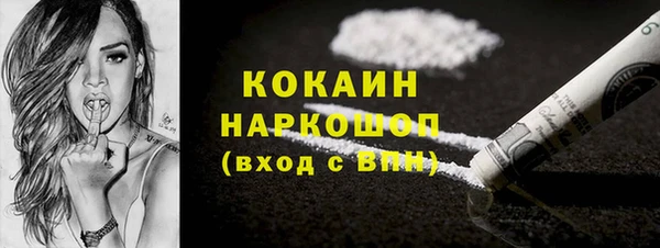 стаф Алзамай