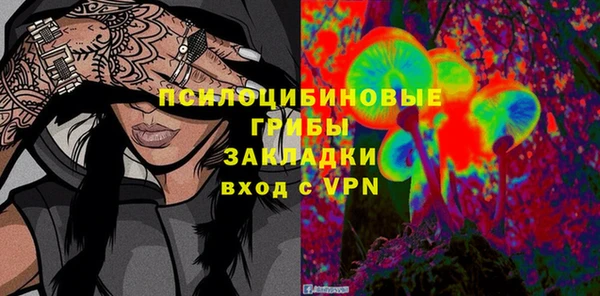 стаф Алзамай