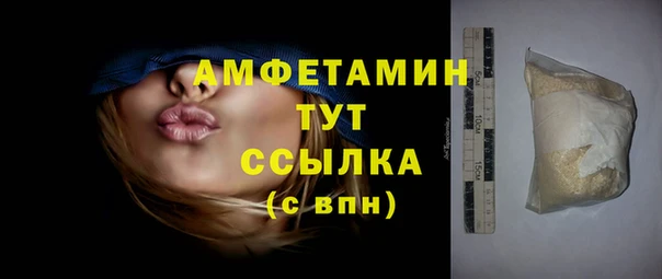 стаф Алзамай