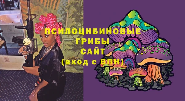 стаф Алзамай