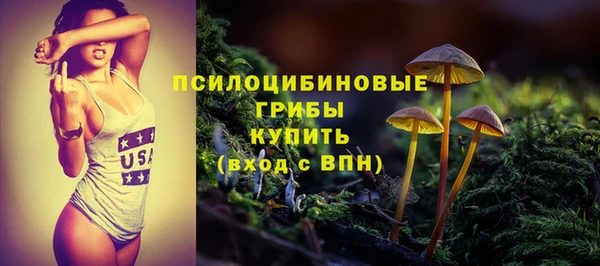 стаф Алзамай