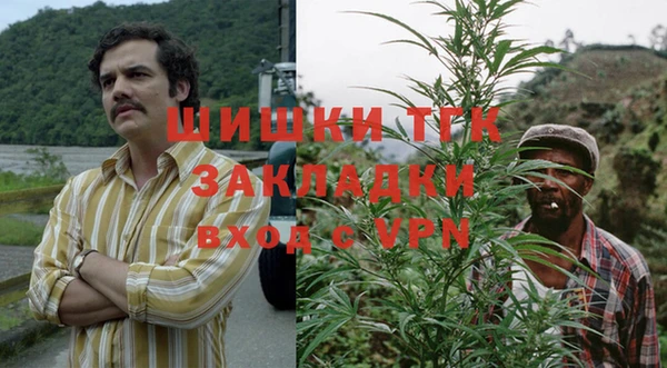 стаф Алзамай