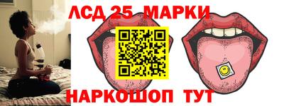 дмт Краснодар