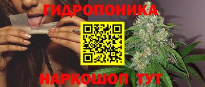 дмт Краснодар
