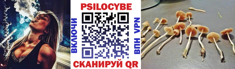 Псилоцибиновые грибы Magic Shrooms  кракен ONION  Карачаевск  где продают  