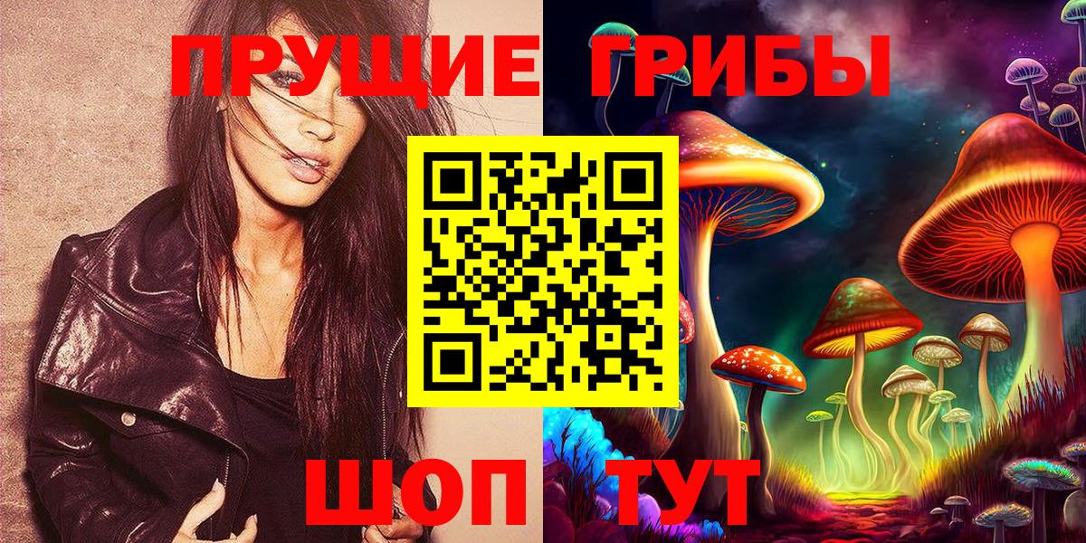 Псилоцибиновые грибы Psilocybe  Вход с VPN  Карачаевск 