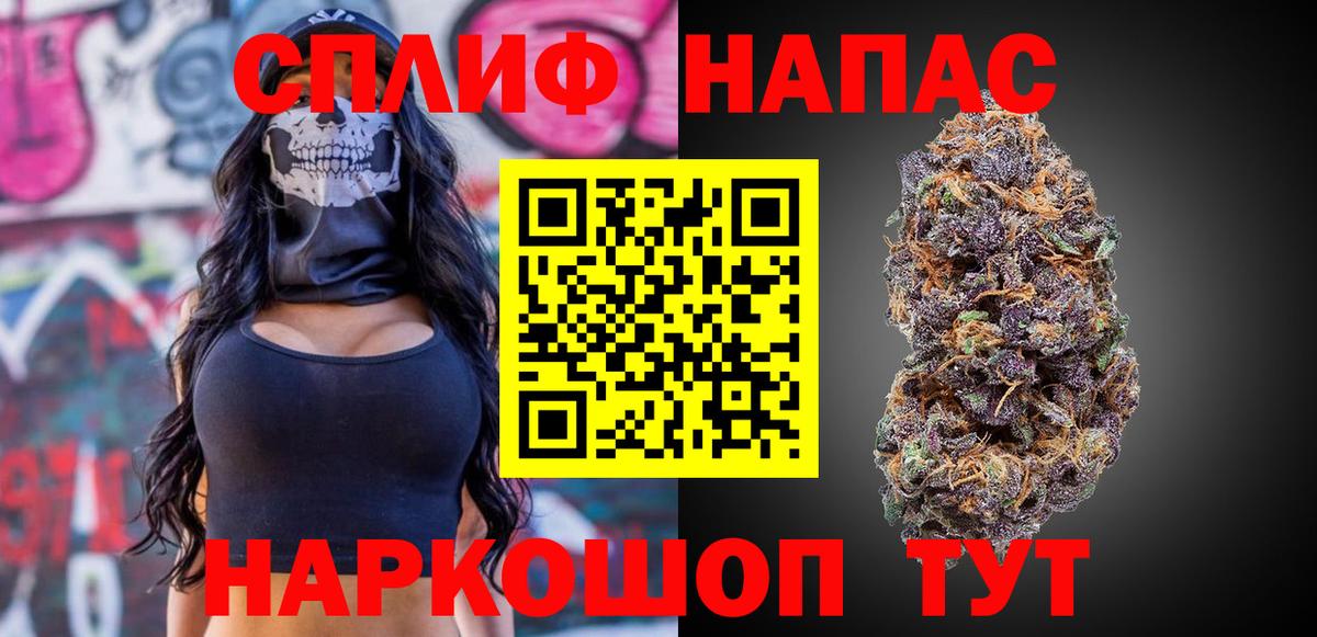 Бошки Шишки сатива Карачаевск